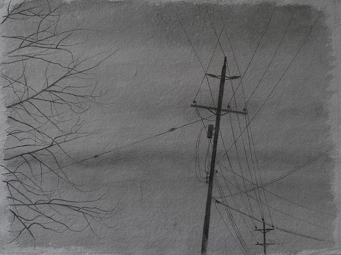 Telephone pole and winter branches