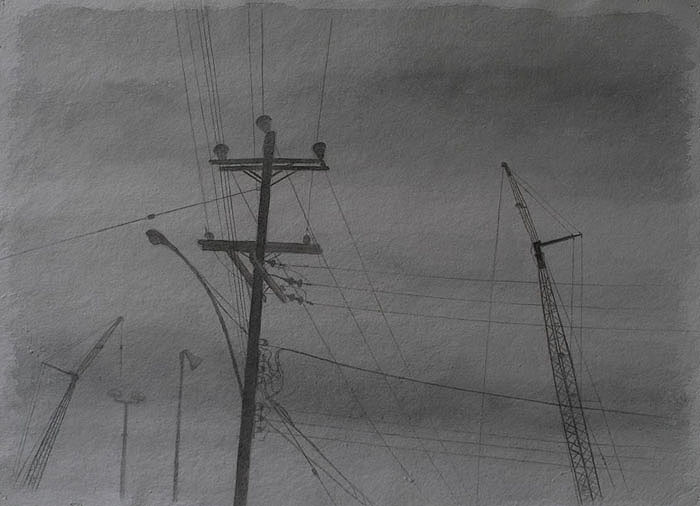 Telephone poles and cranes