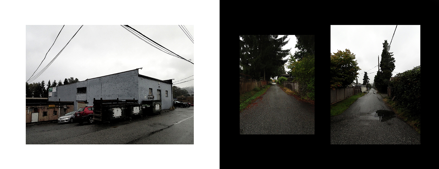 the portfolio collection