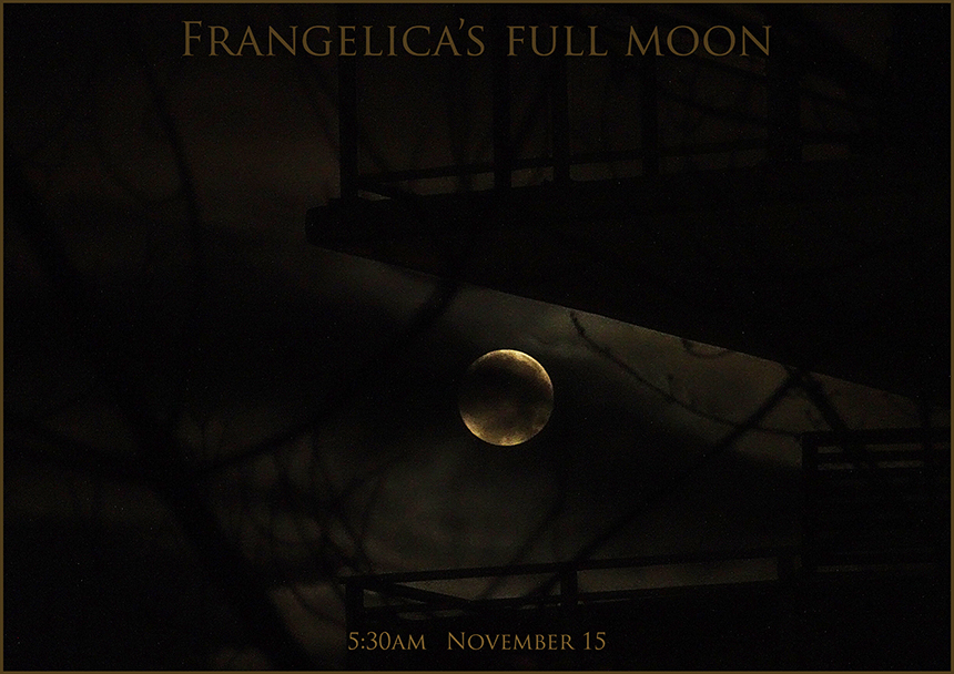 frangelica