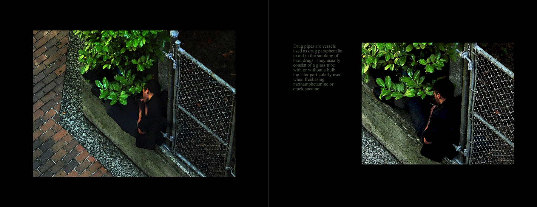 the portfolio collection