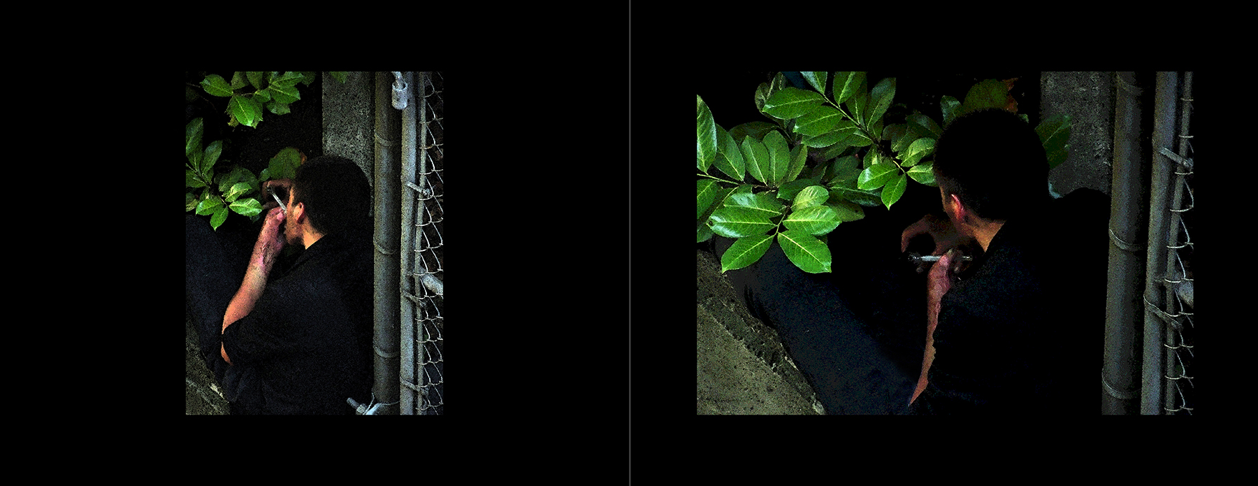 the portfolio collection