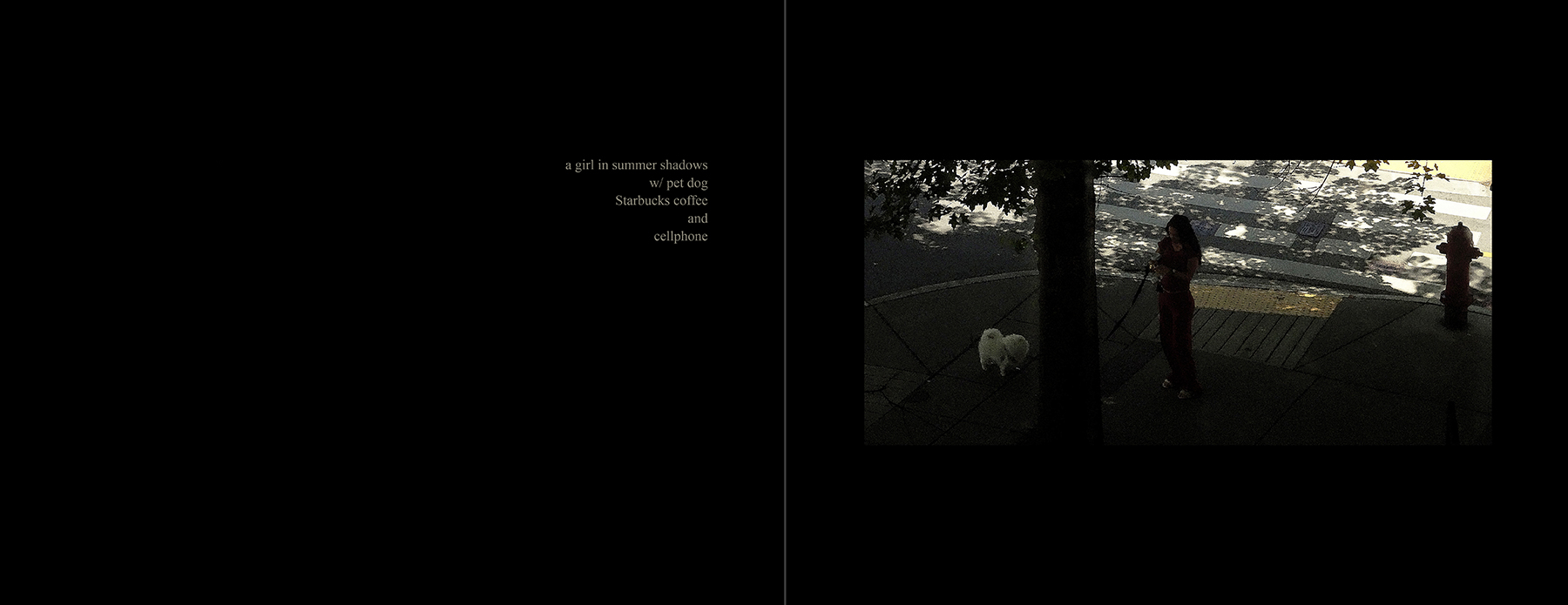 the portfolio collection