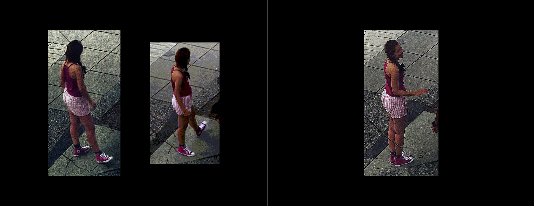 the portfolio collection