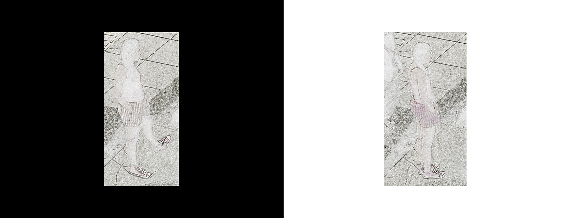 the portfolio collection