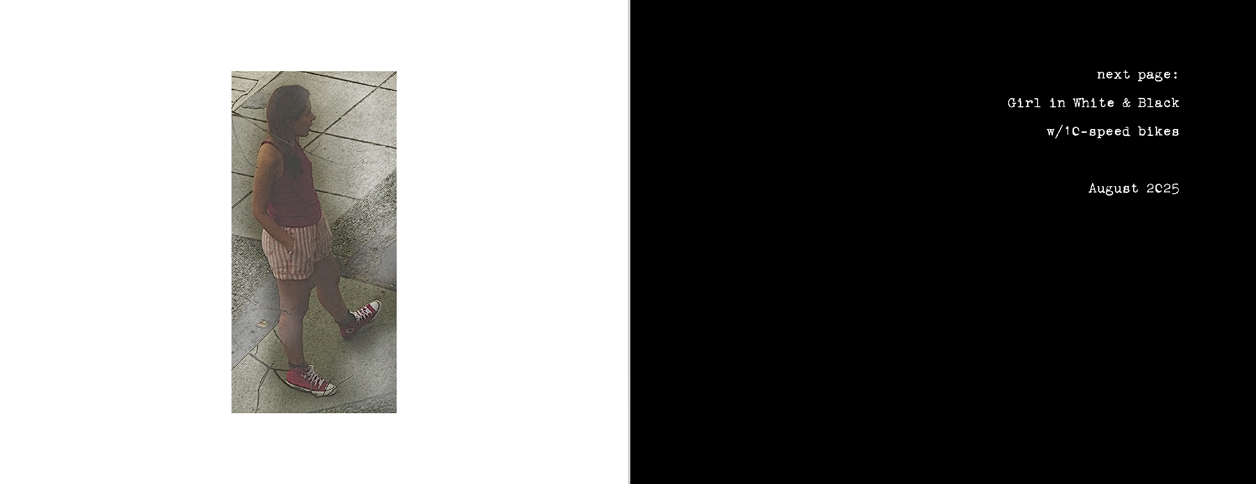 the portfolio collection