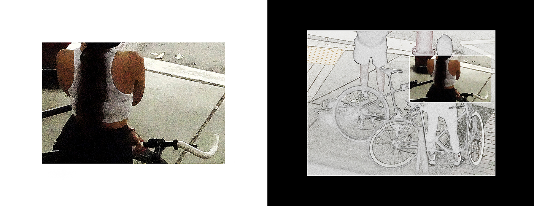 the portfolio collection