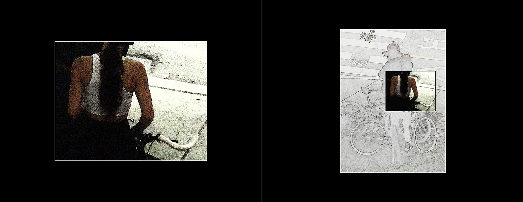 the portfolio collection