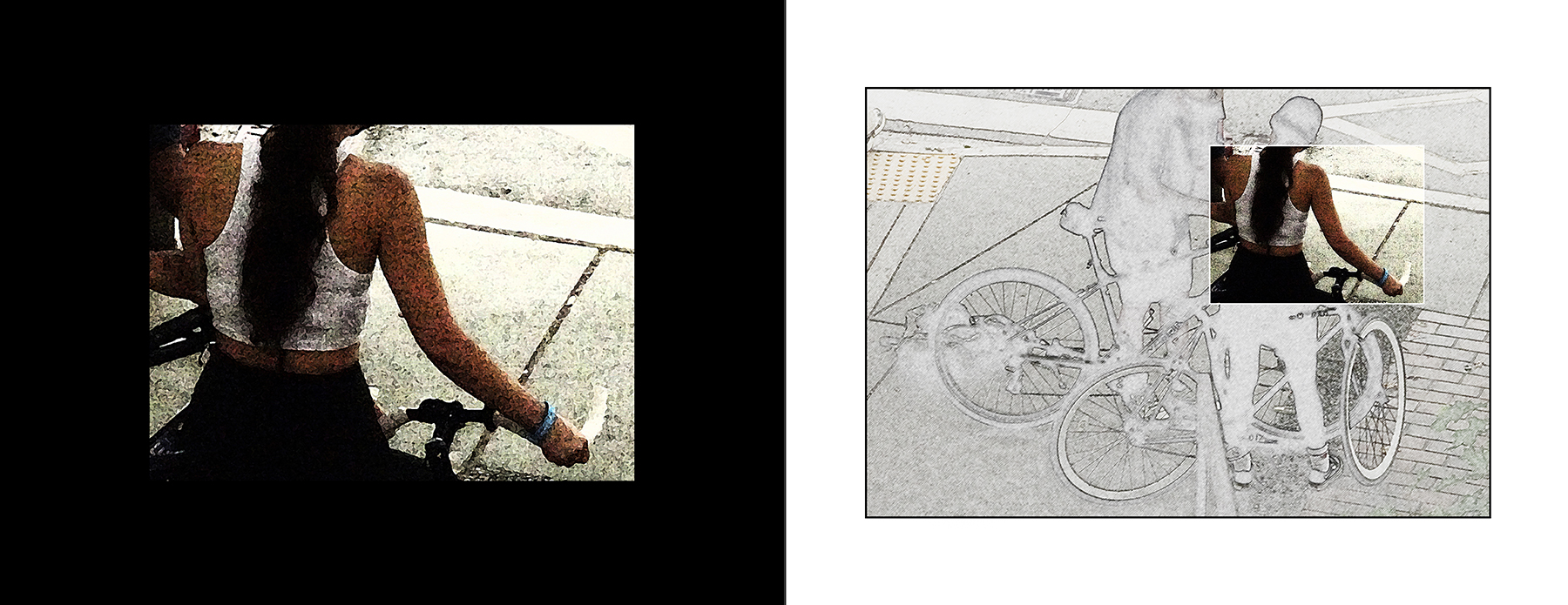 the portfolio collection