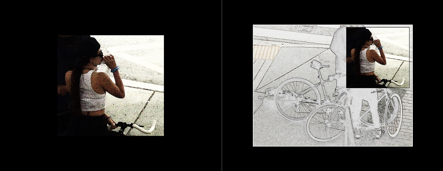 the portfolio collection