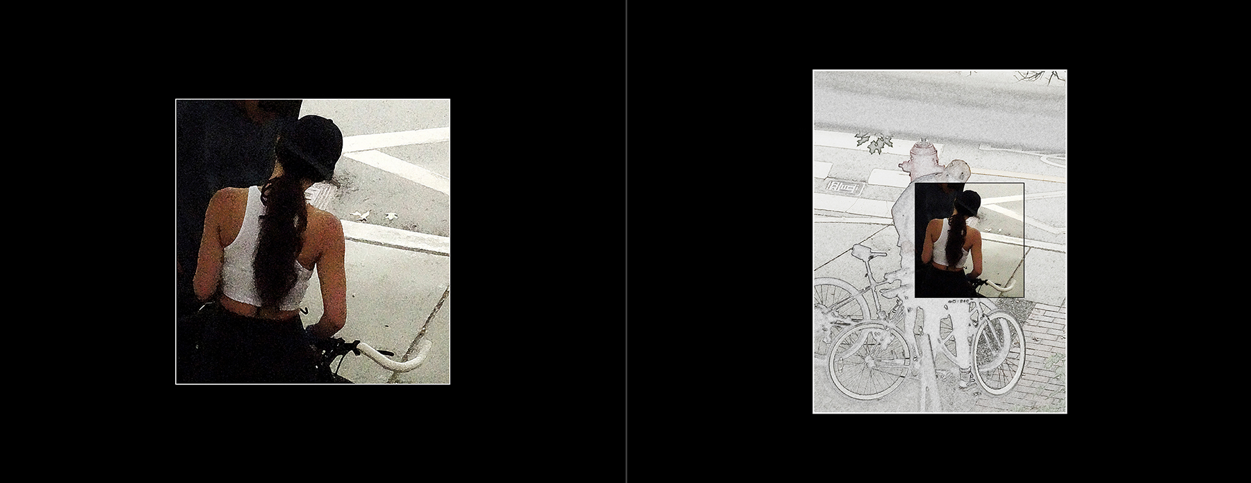 the portfolio collection