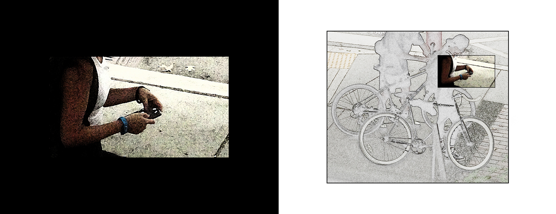 the portfolio collection