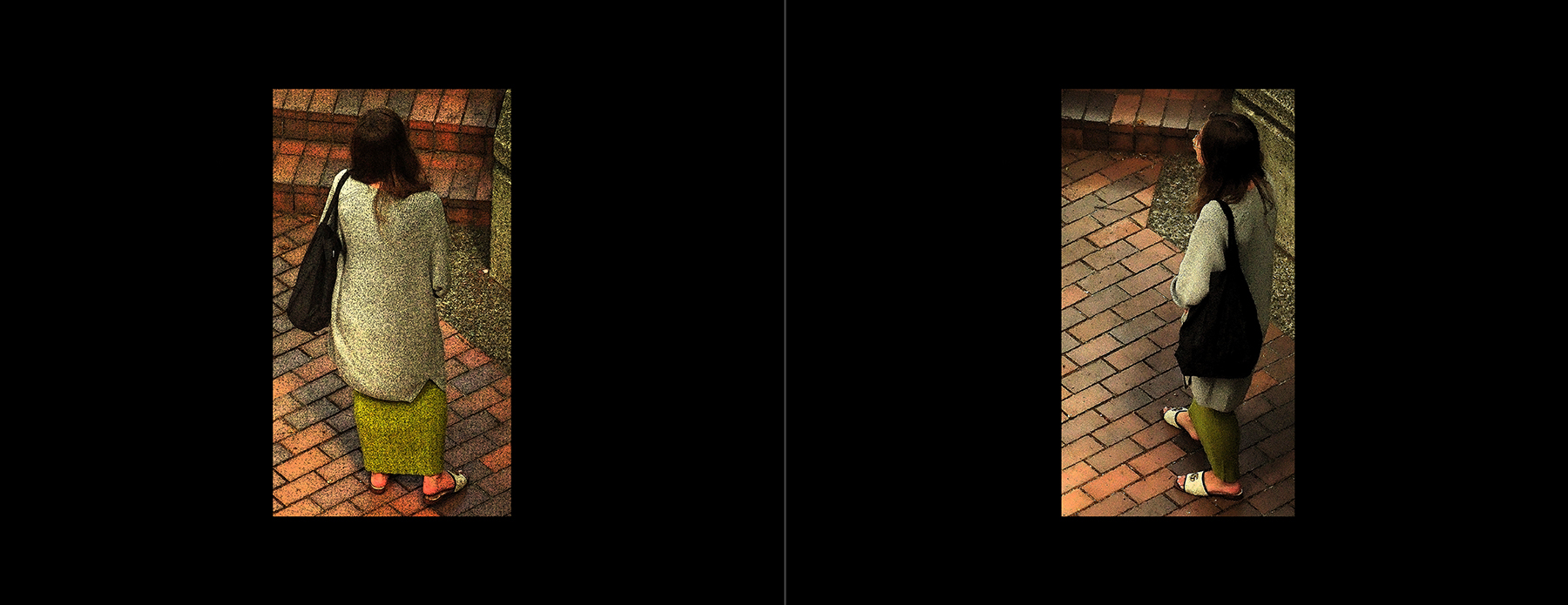 the portfolio collection