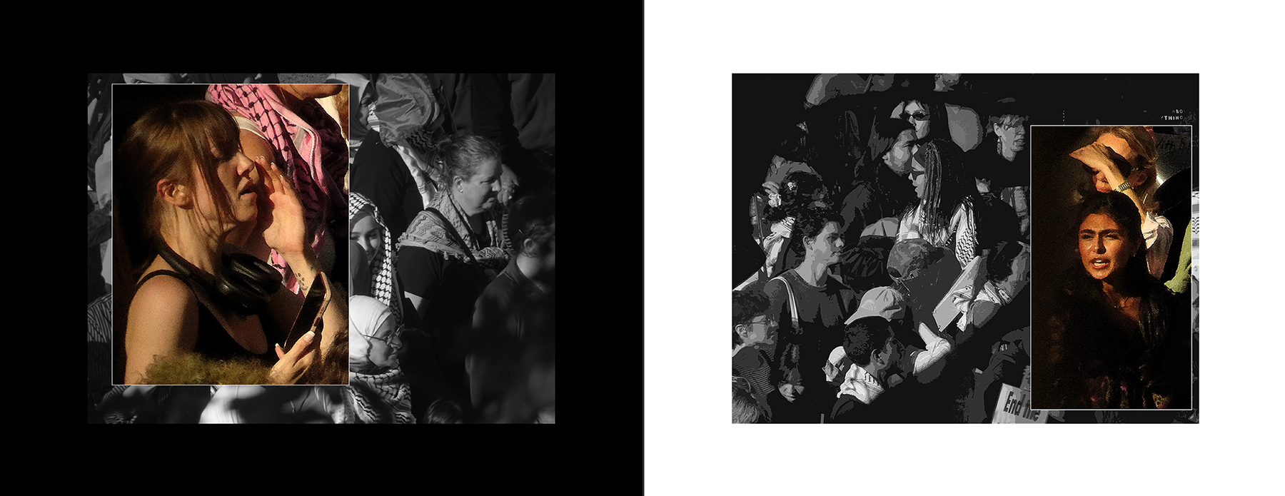 the portfolio collection