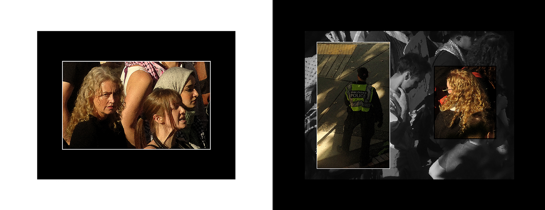 the portfolio collection