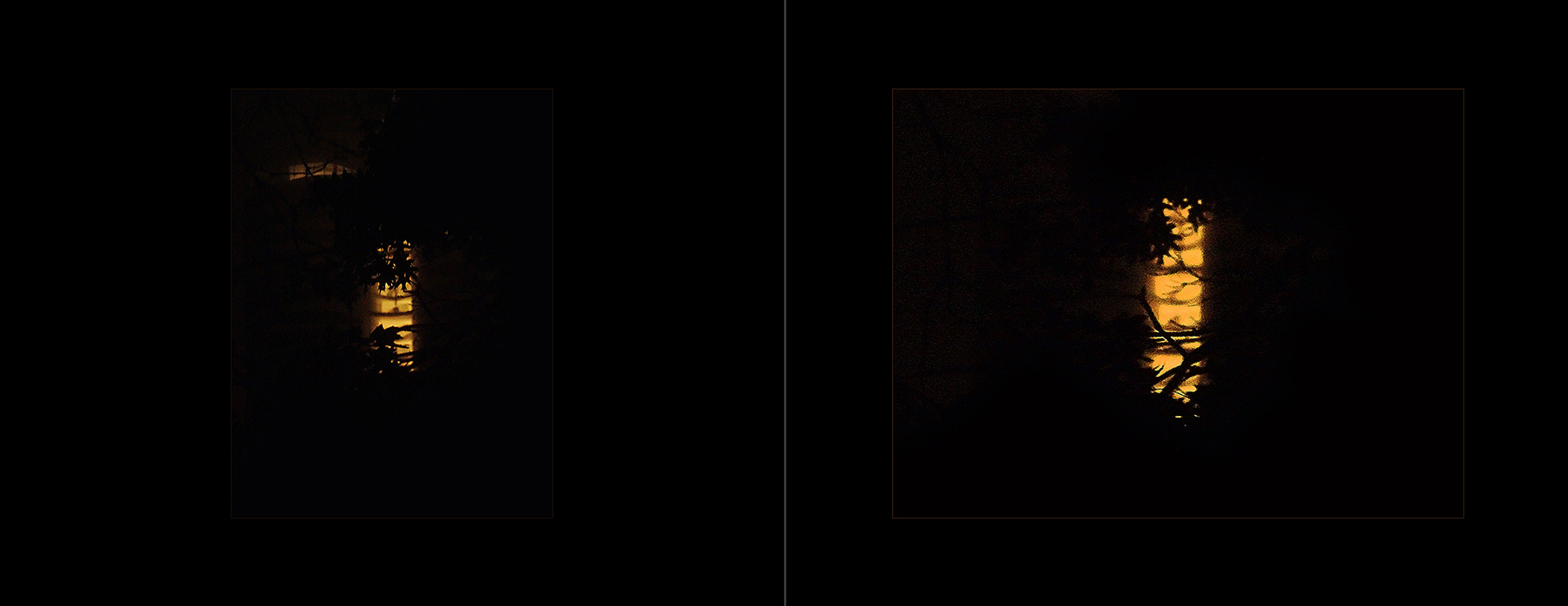 the portfolio collection