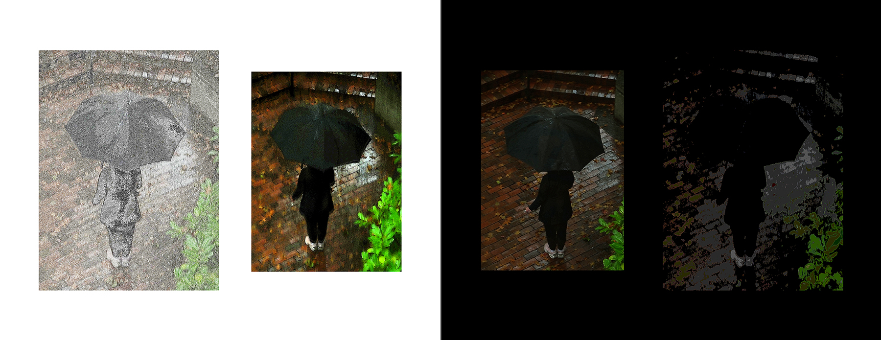 the portfolio collection