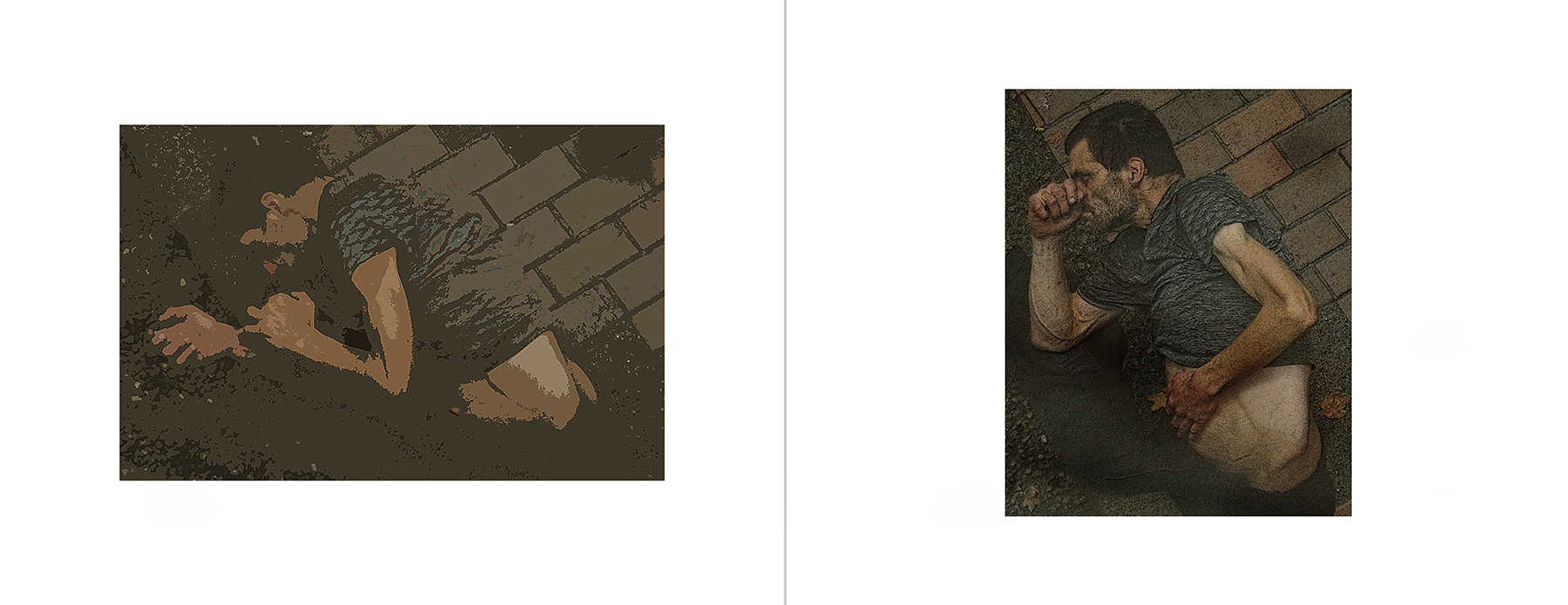 the portfolio collection