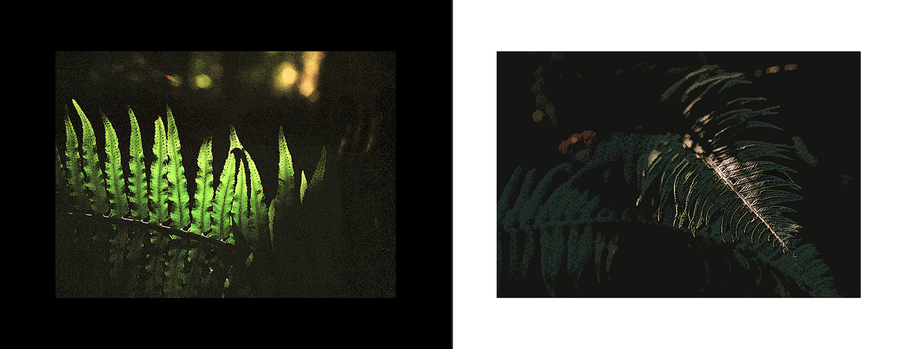 images from print files