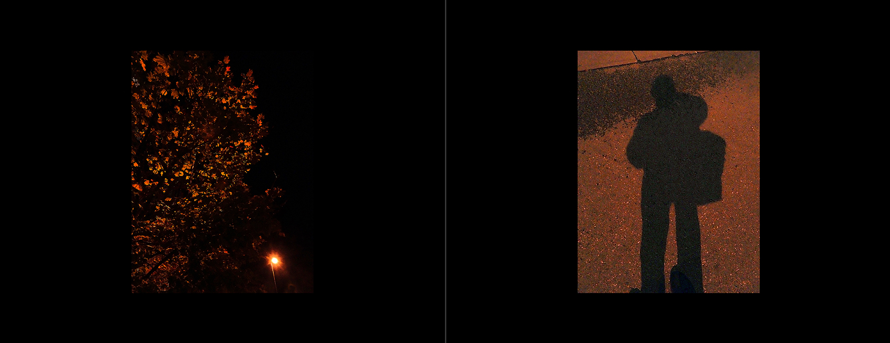 photos of the Vancouver