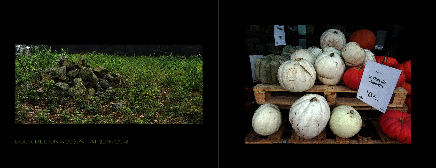 photos of the Vancouver