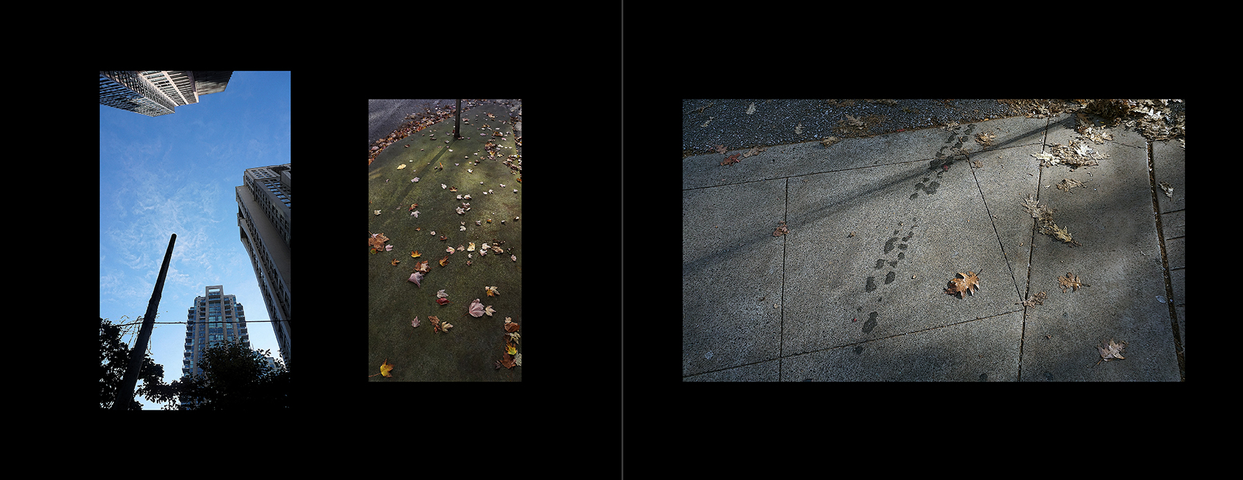 photos of the Vancouver