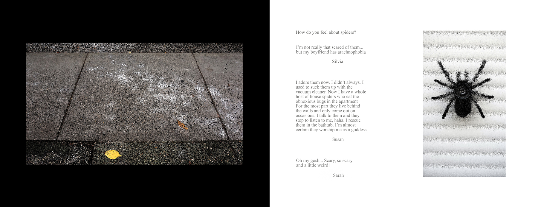 photos of the Vancouver