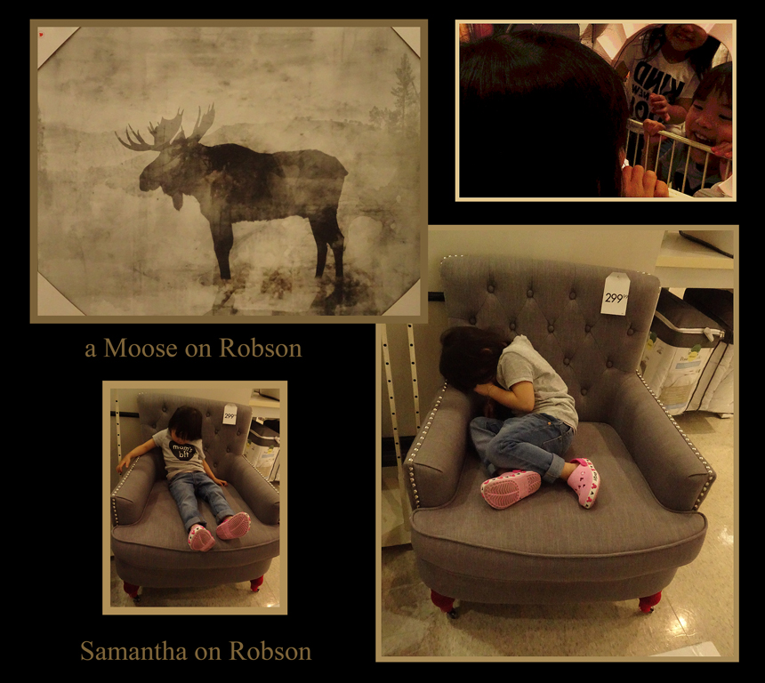 samantha and the moose