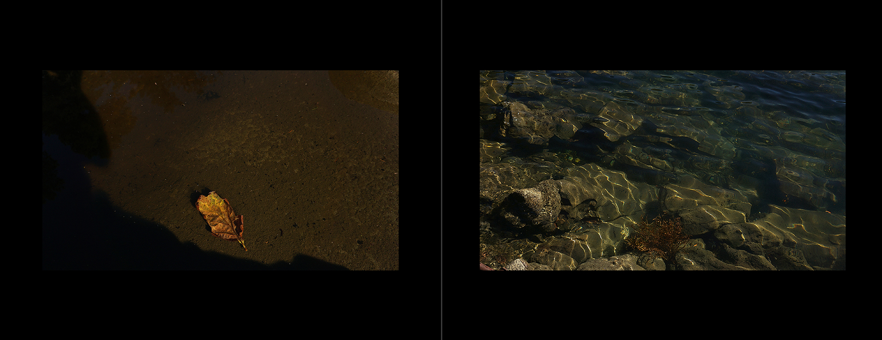 photos of Saturna Island