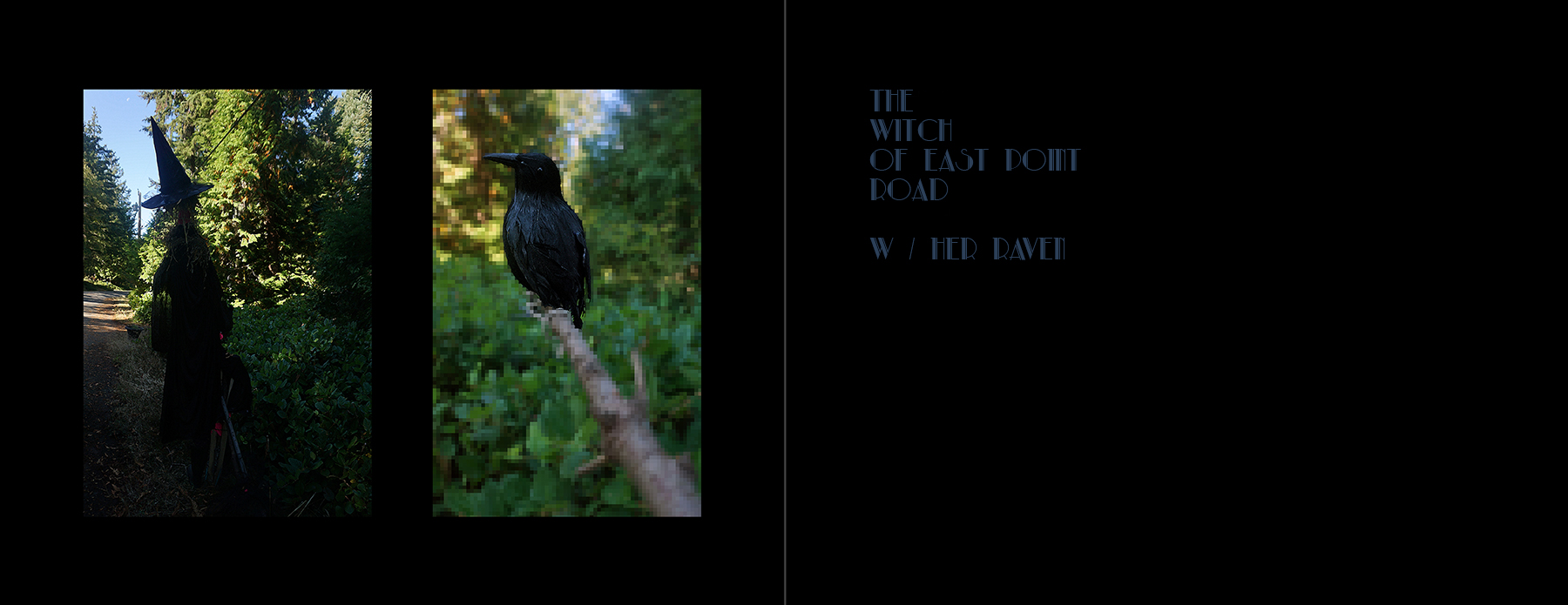 photos of Saturna Island