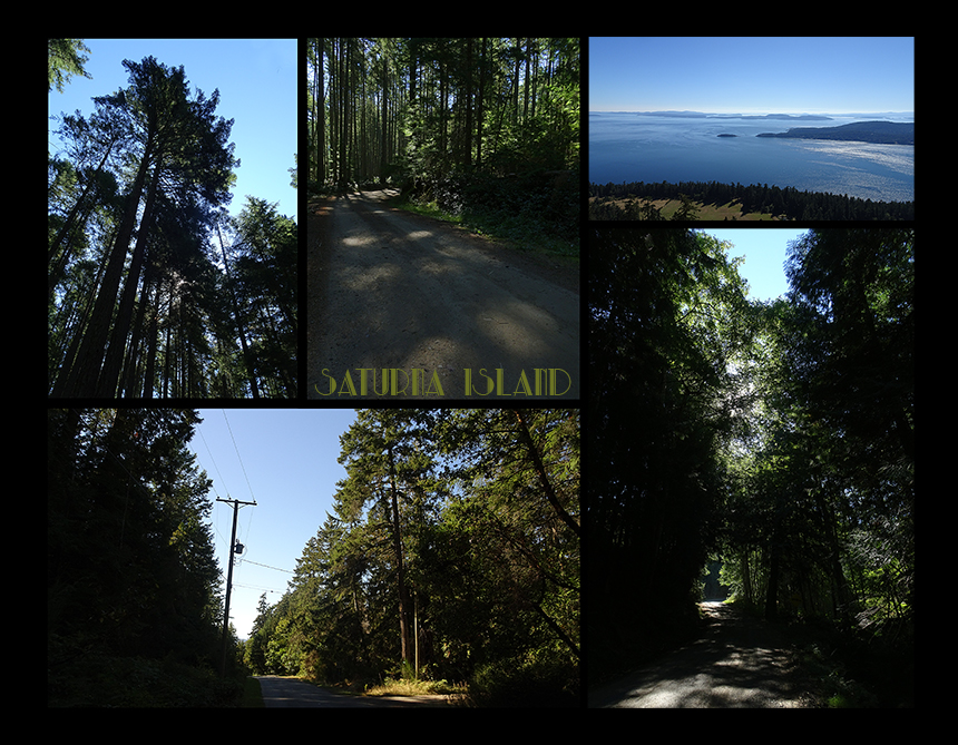 images from Saturna Island