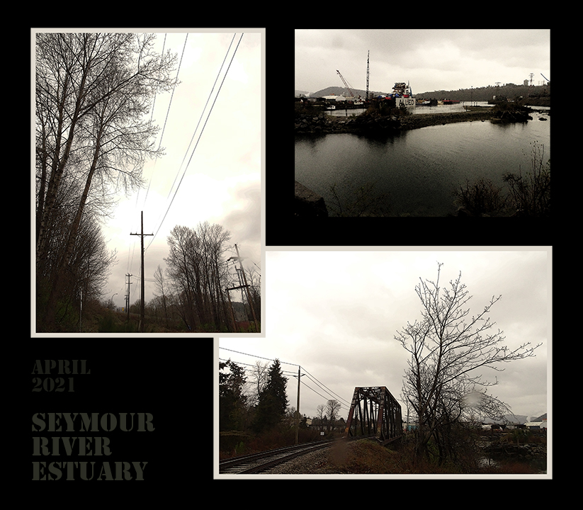 seymour river estuary