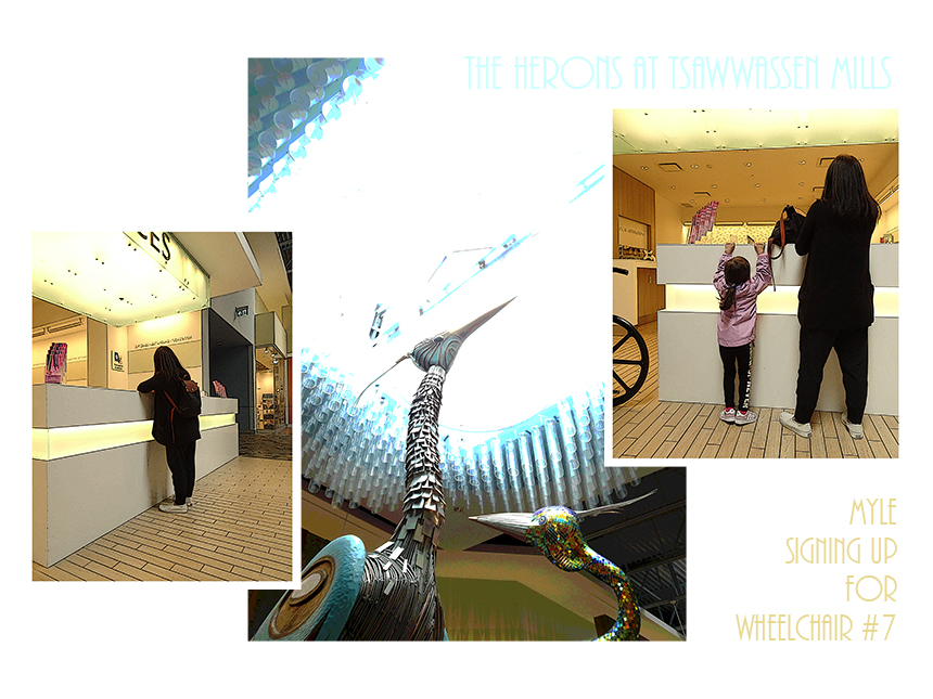 tsawwassen mills shopping mall