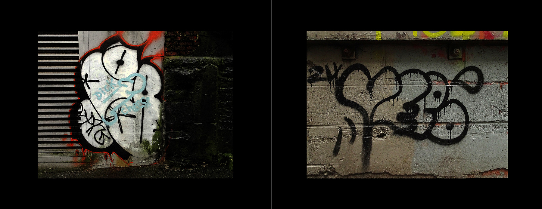 photos of the Vancouver Urban Art