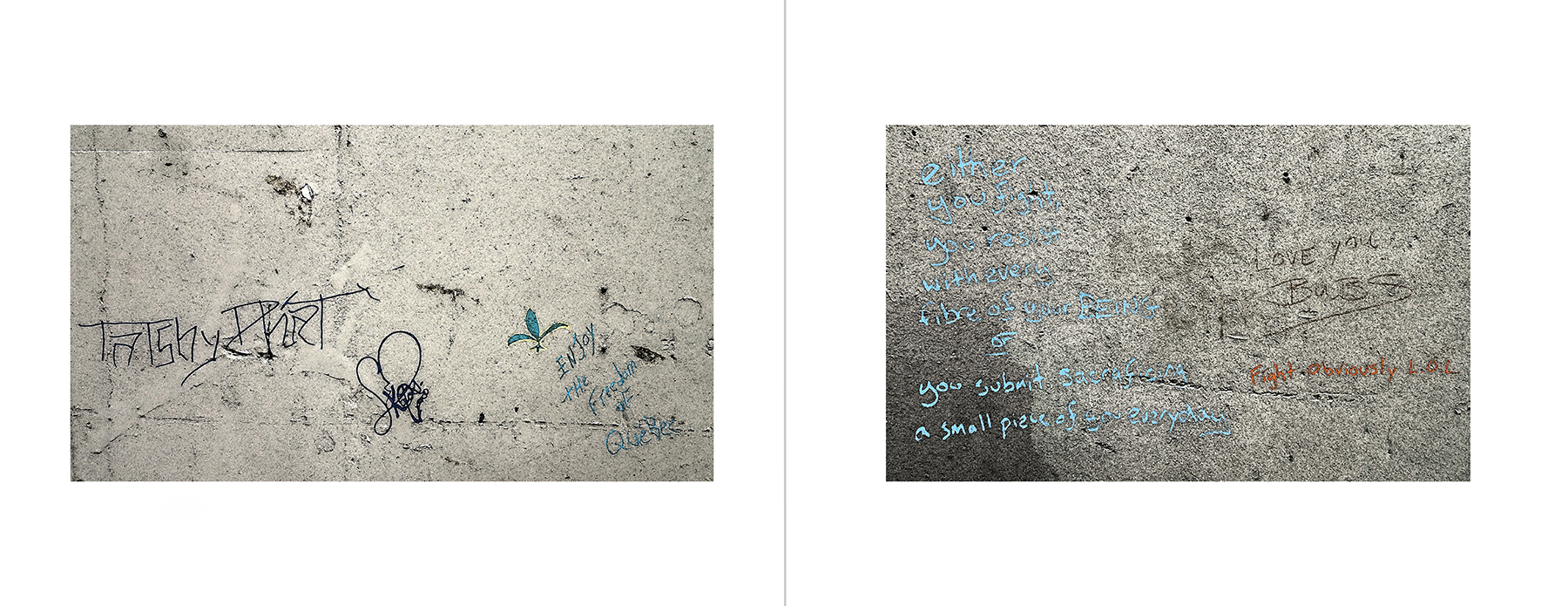 photos of the Vancouver Urban Art
