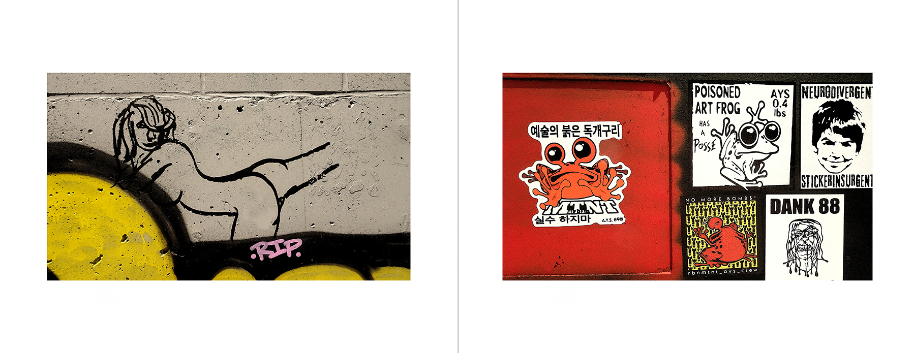 photos of the Vancouver Urban Art