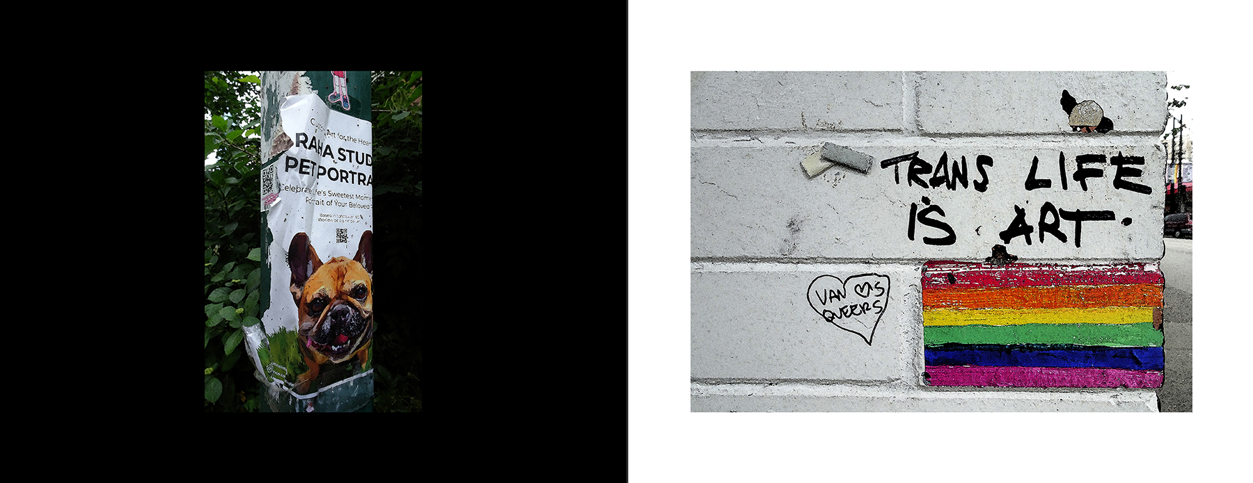 photos of the Vancouver Urban Art