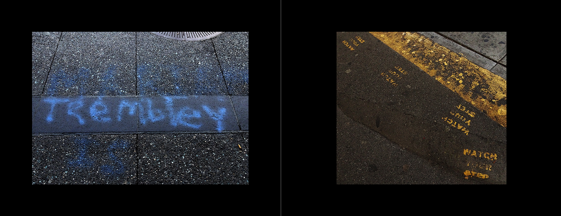 photos of the Vancouver Urban Art