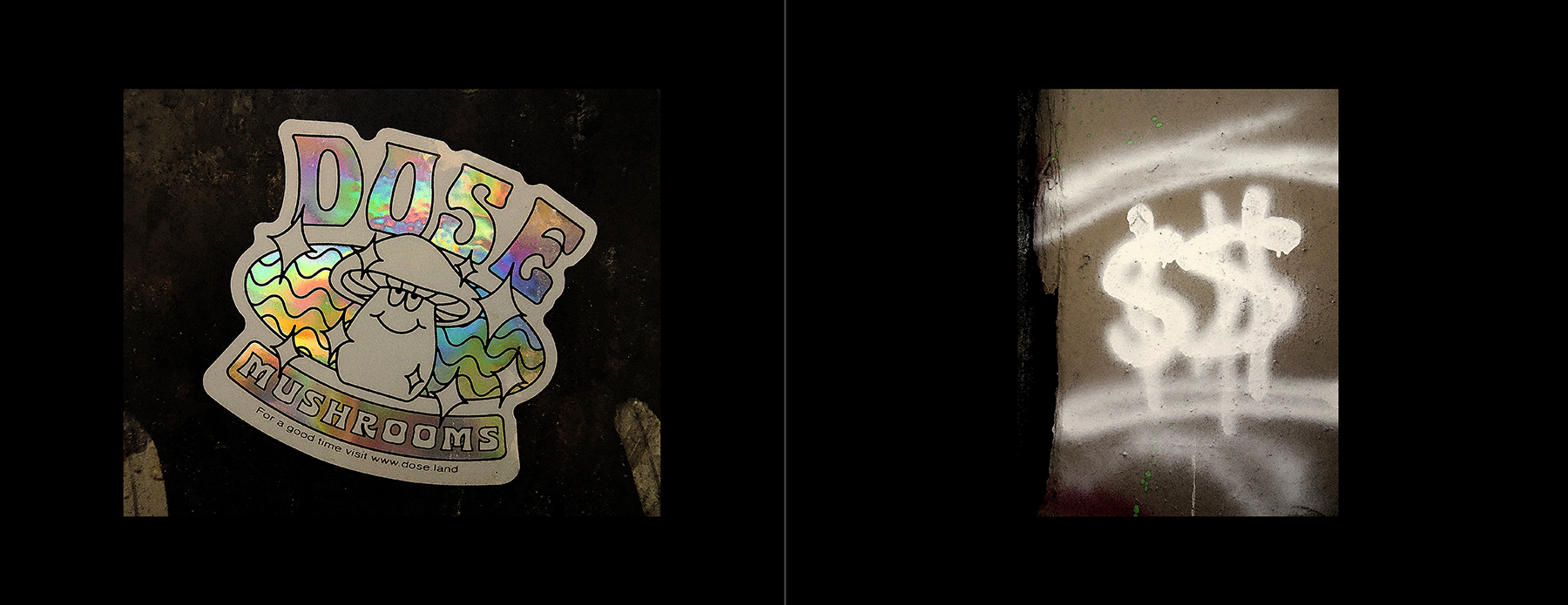 photos of the Vancouver Urban Art