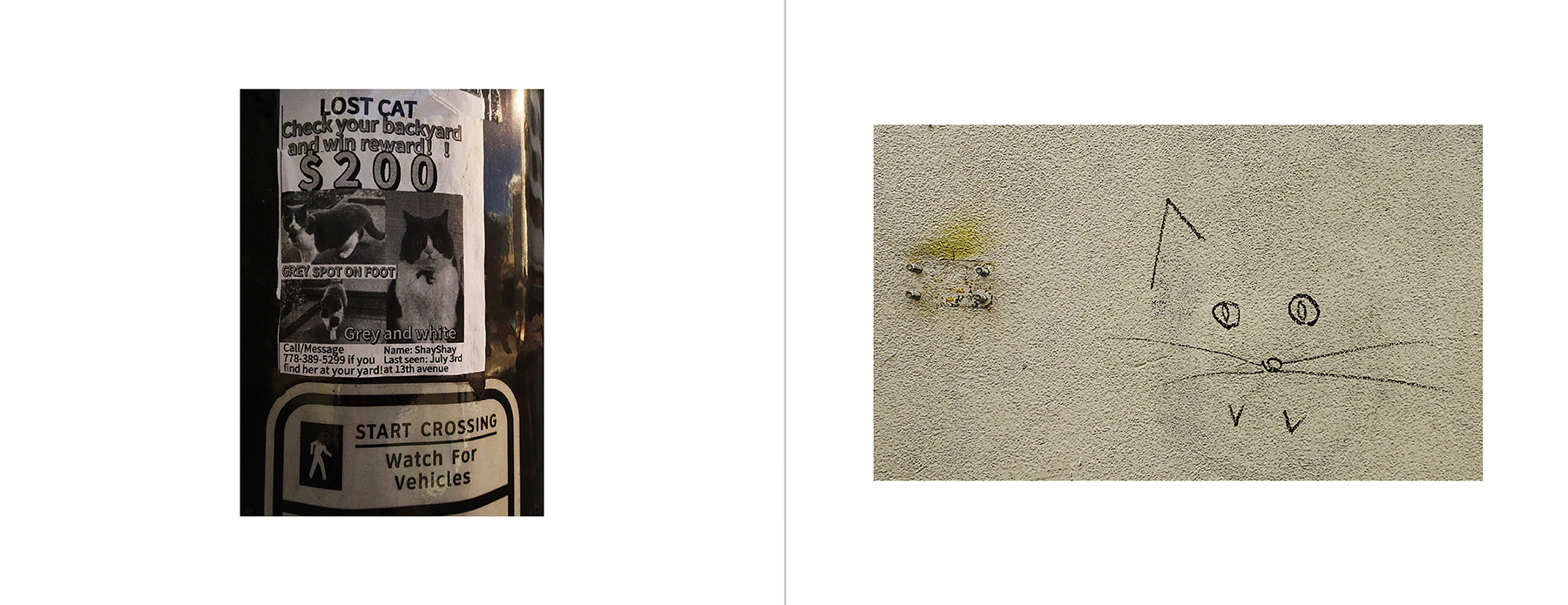 photos of the Vancouver Urban Art