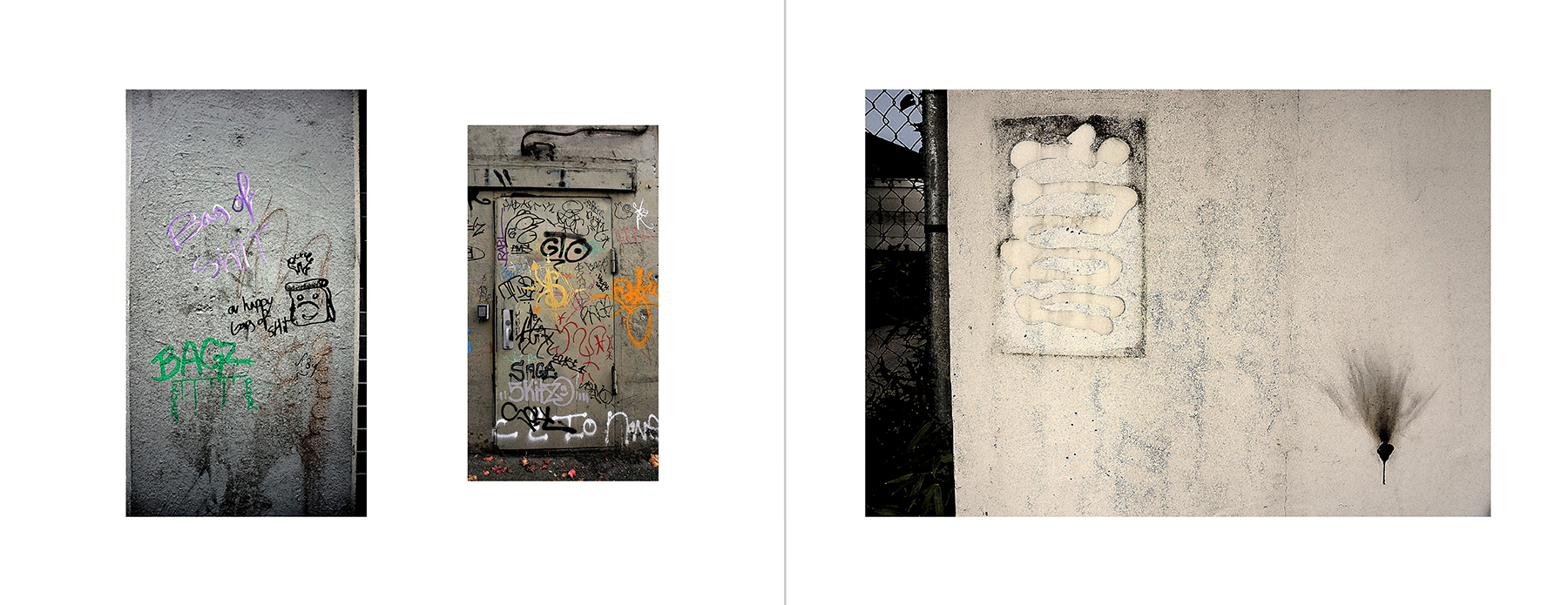 photos of the Vancouver Urban Art