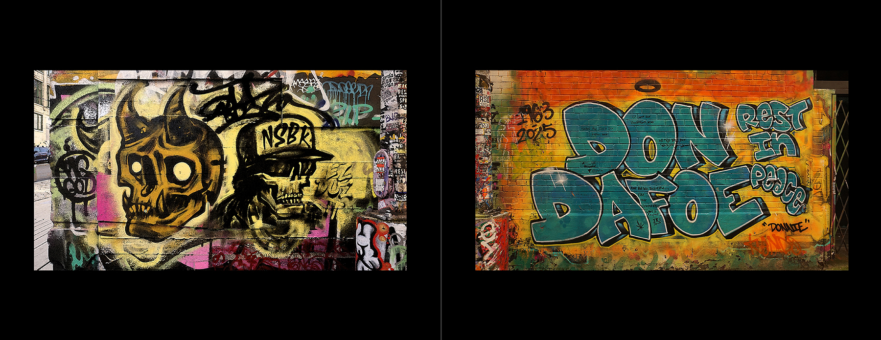 photos of the Vancouver Urban Art