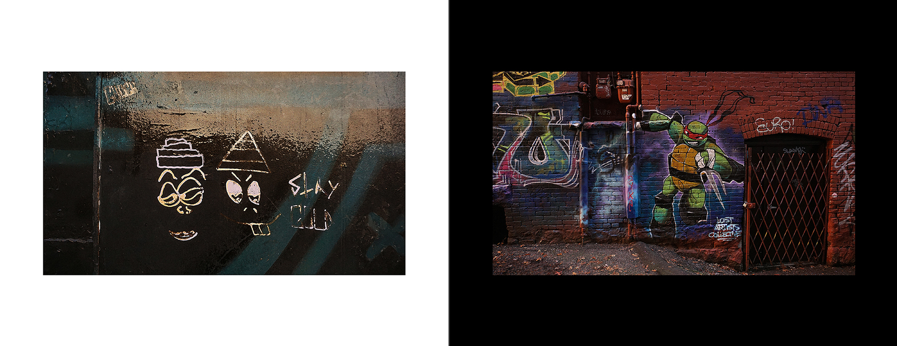 photos of the Vancouver Urban Art