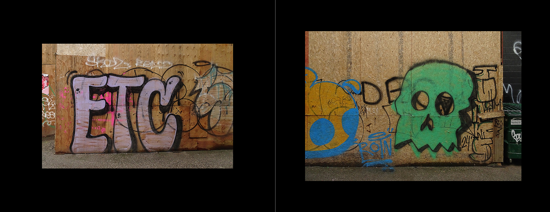 photos of the Vancouver Urban Art