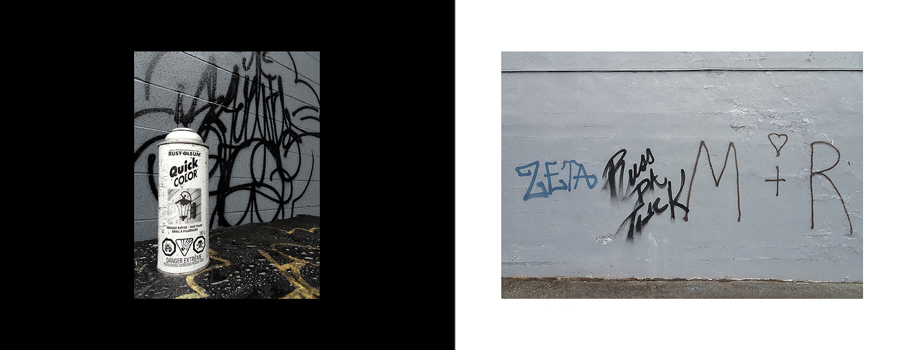 photos of the Vancouver Urban Art