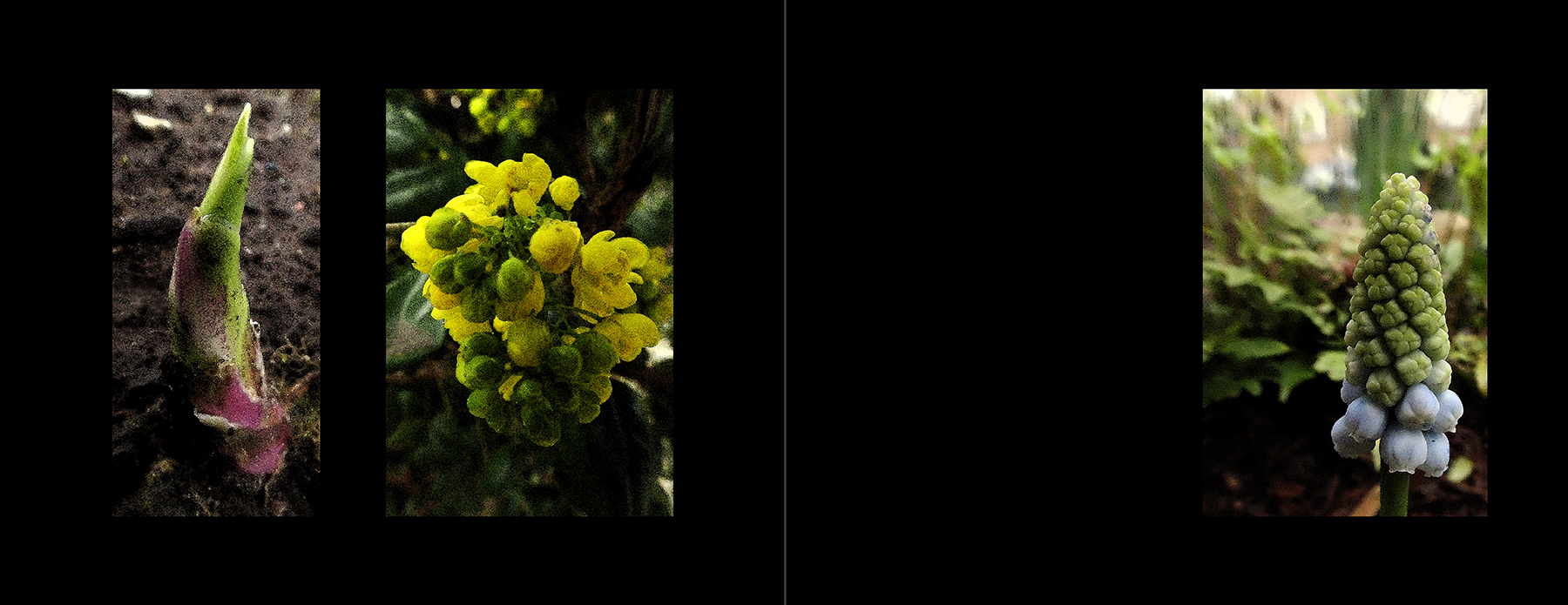 photos