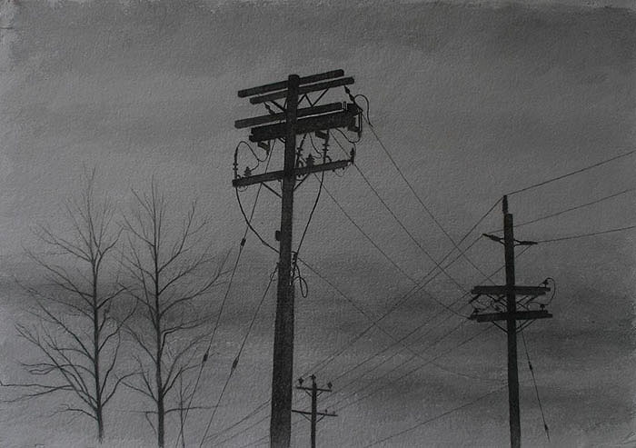 Telephone poles and winter trees